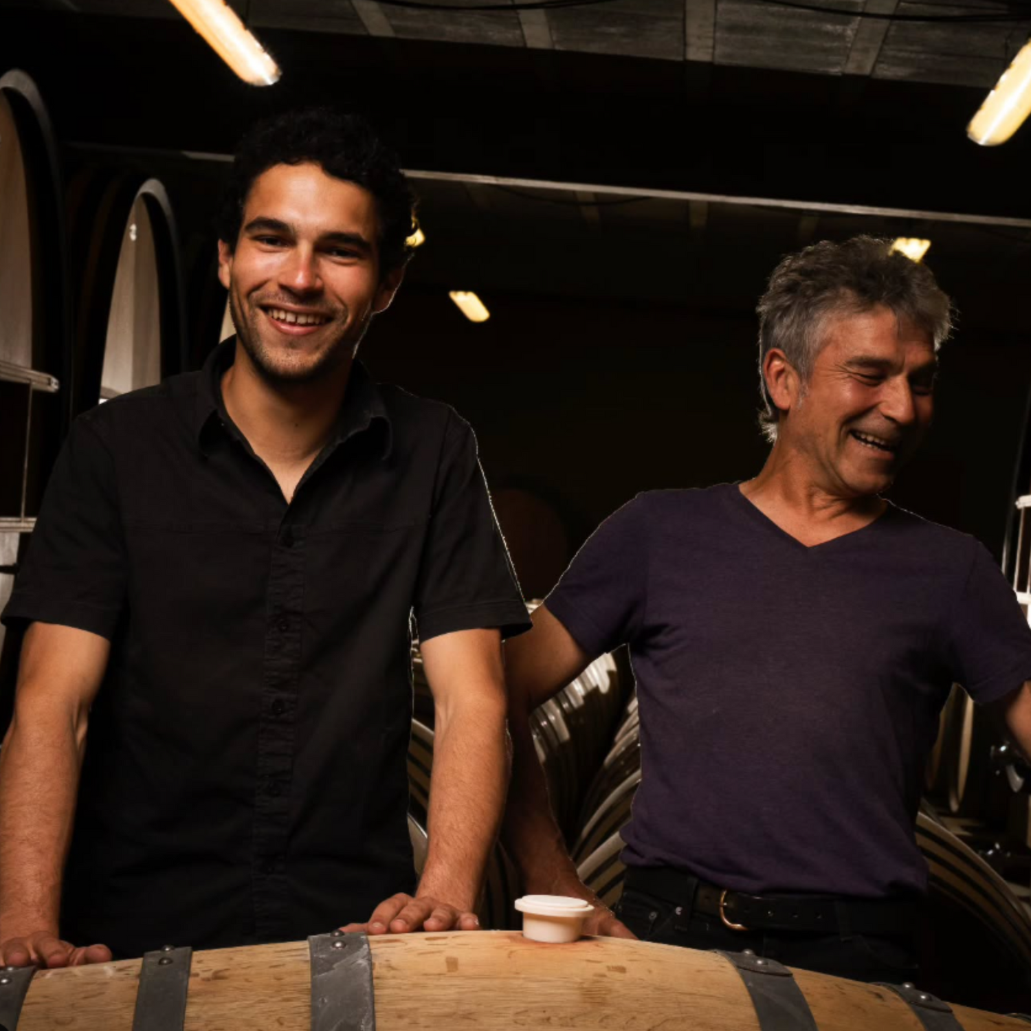 Normanby Fine Wines