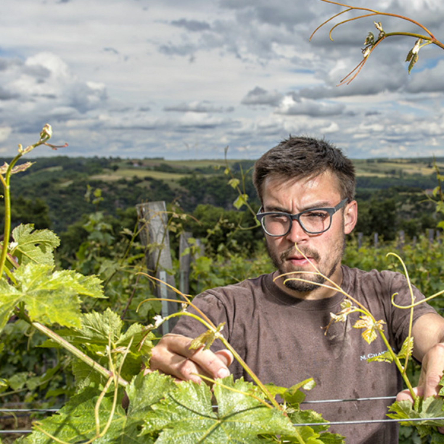 Normanby Fine Wines