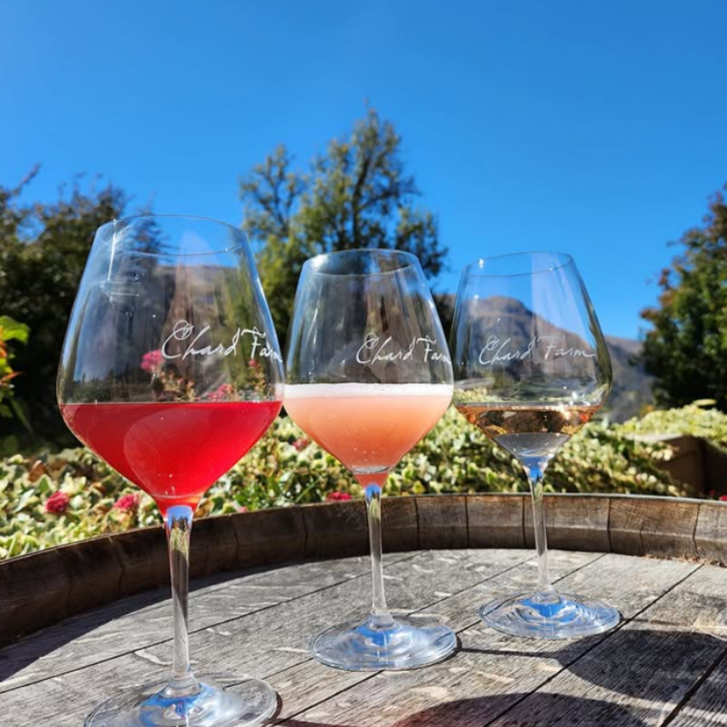 Normanby Fine Wines