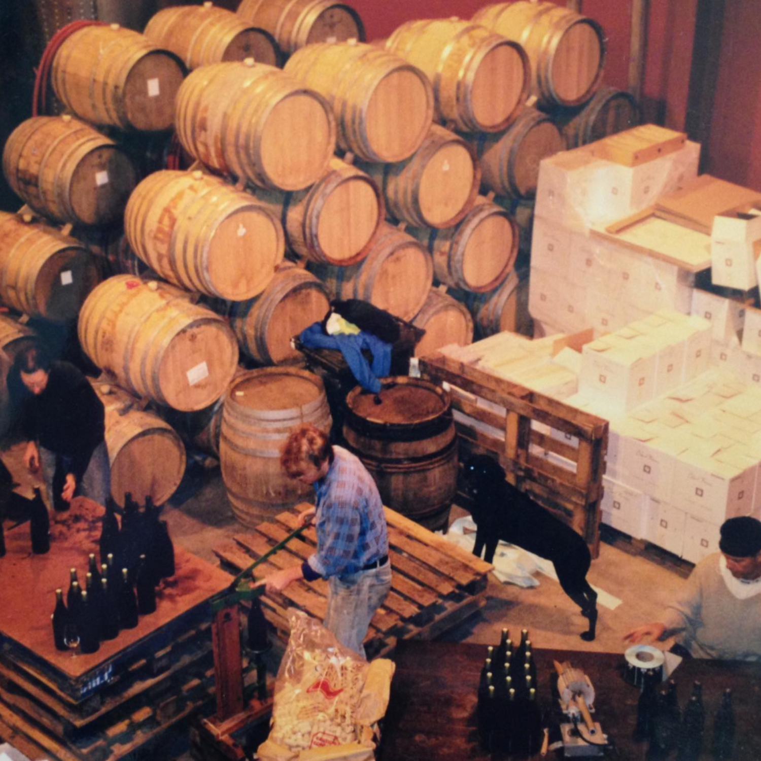 Normanby Fine Wines