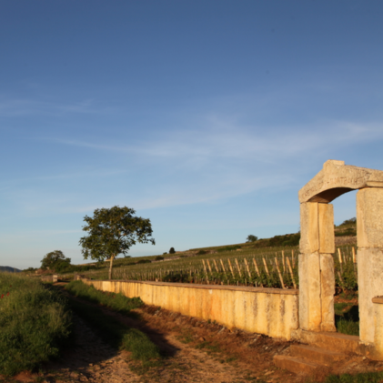 Normanby Fine Wines