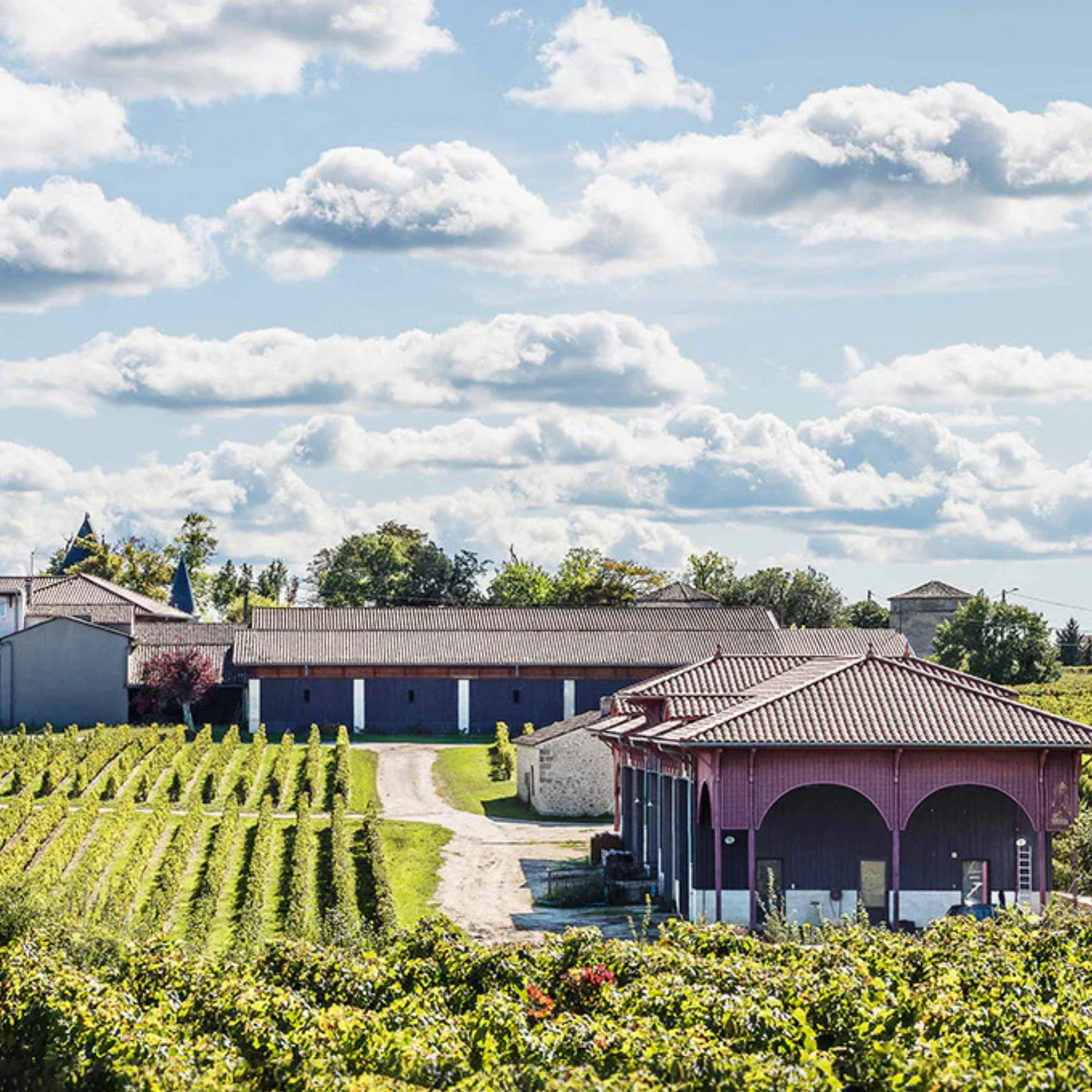 Normanby Fine Wines