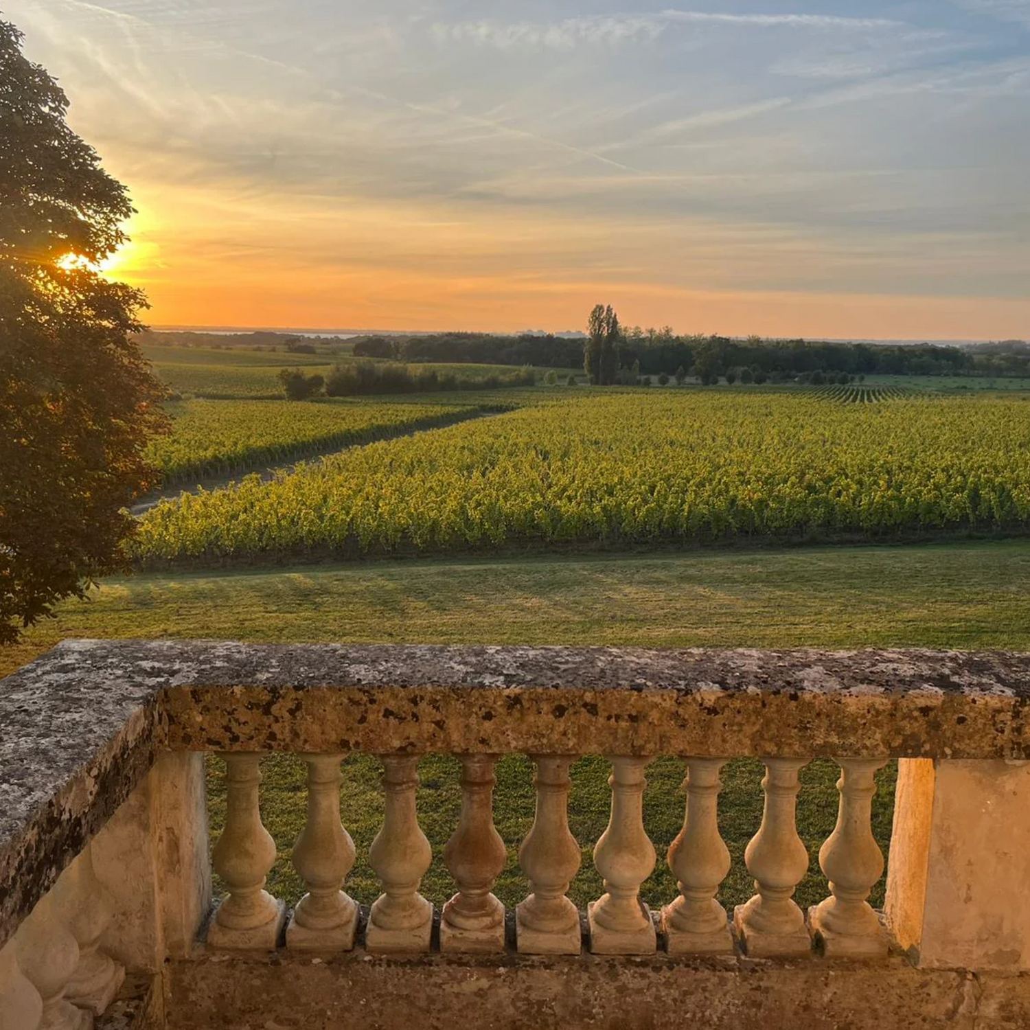 Normanby Fine Wines