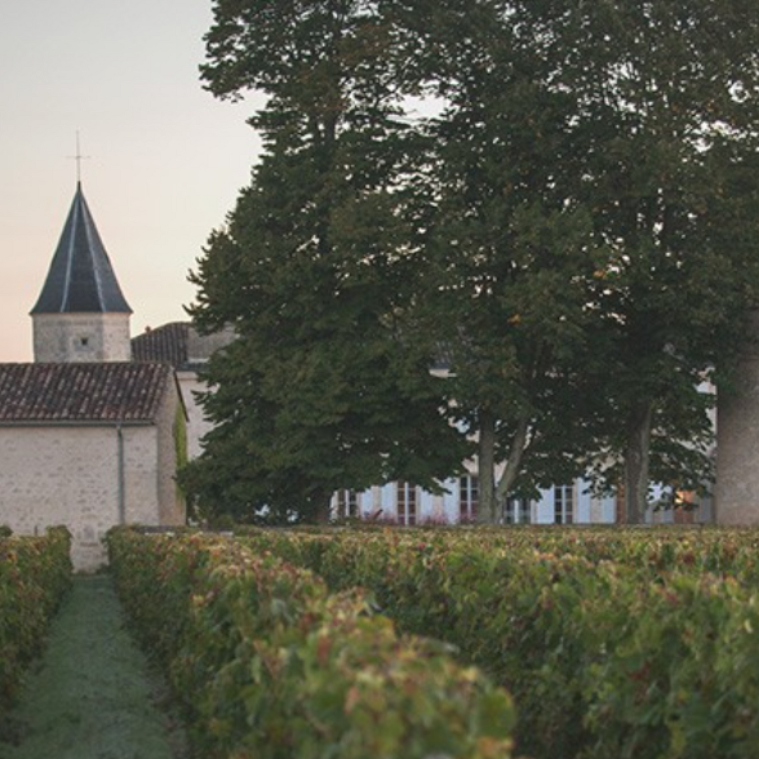Normanby Fine Wines