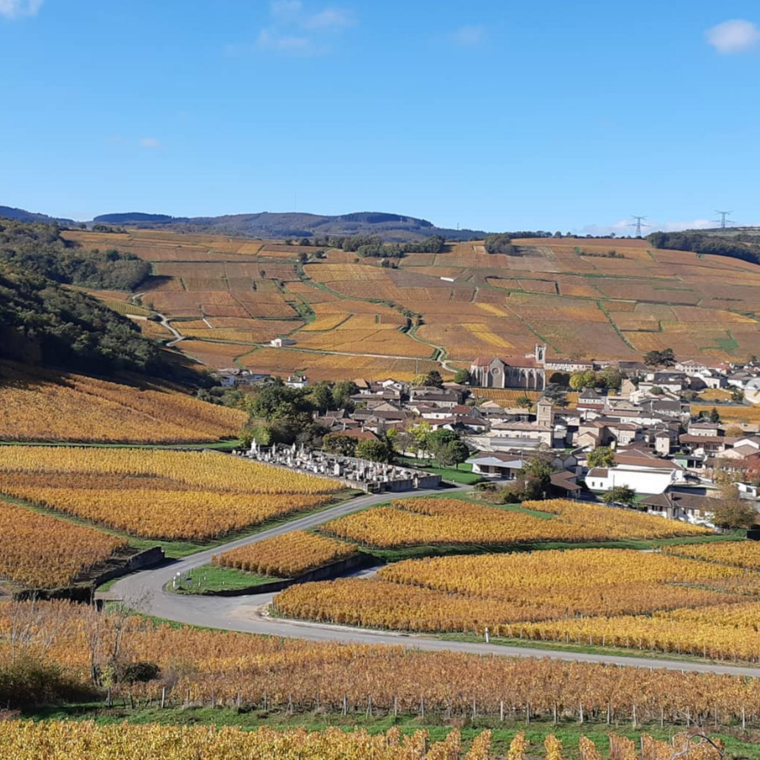 Normanby Fine Wines
