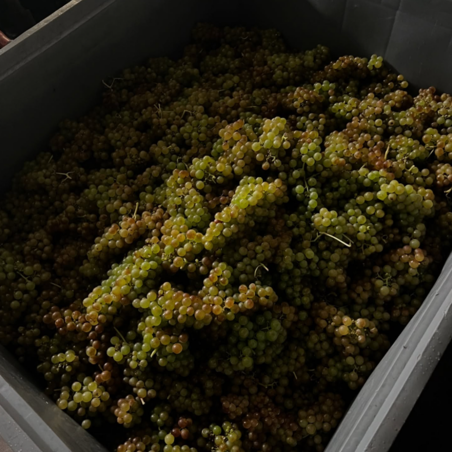 Normanby Fine Wines