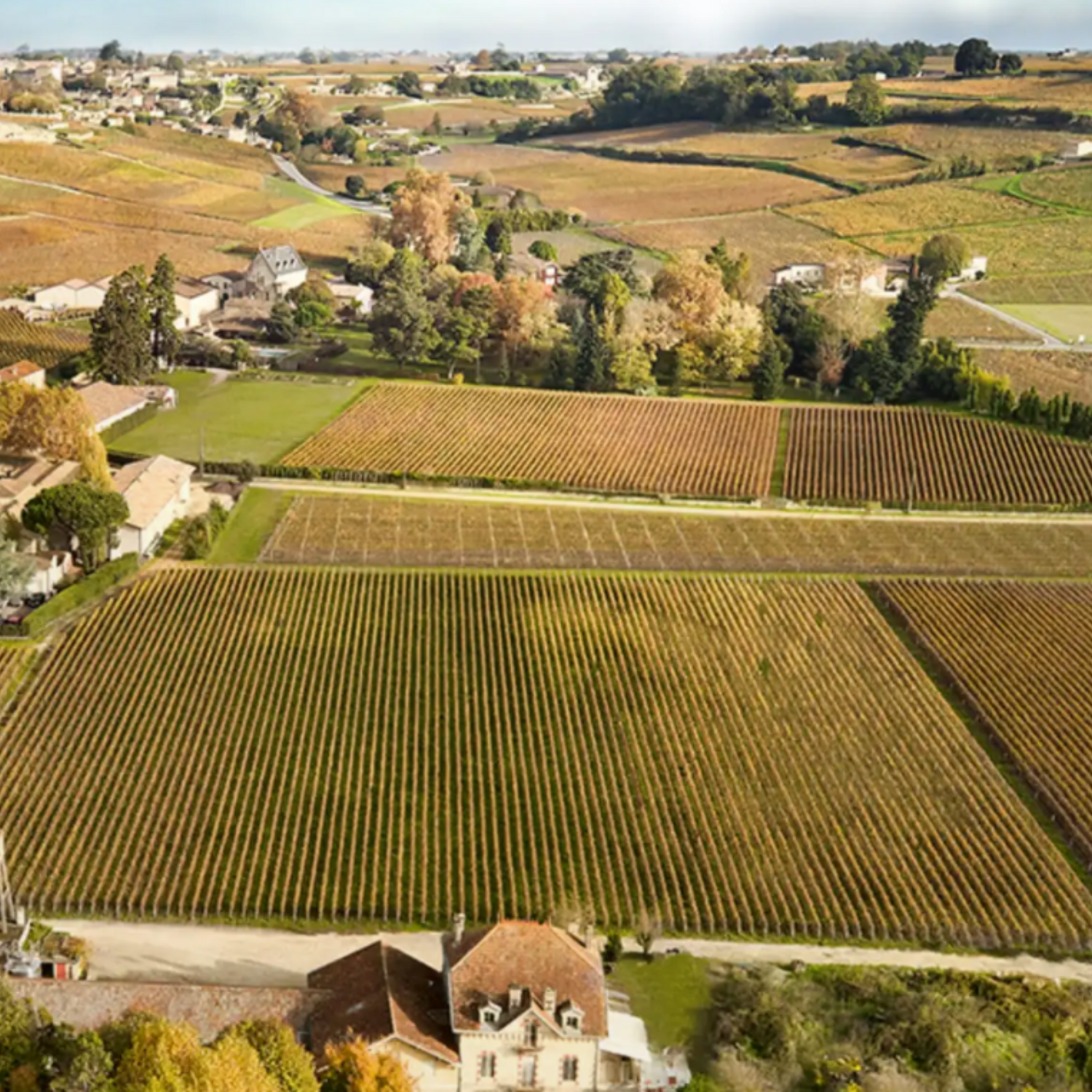 Normanby Fine Wines