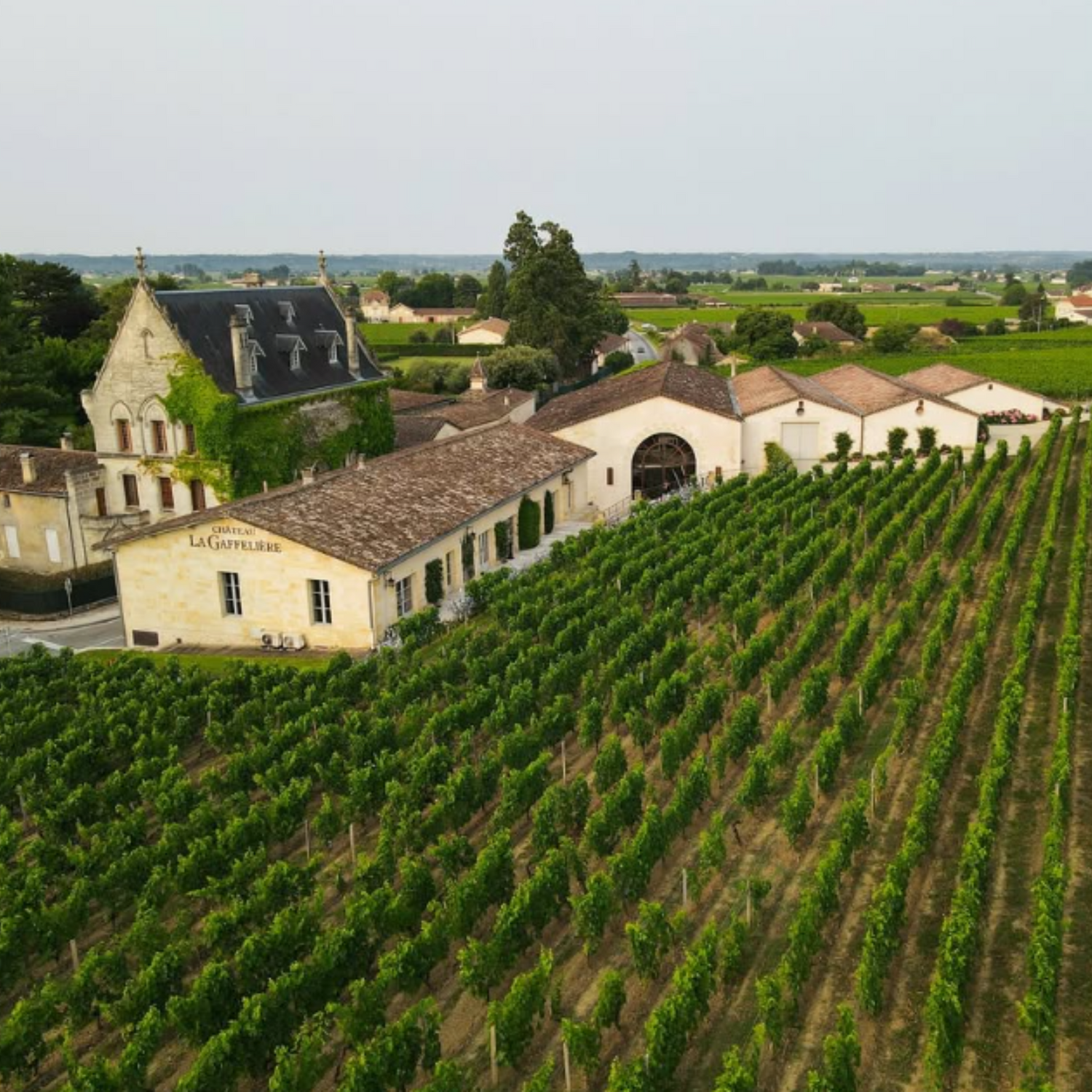Normanby Fine Wines