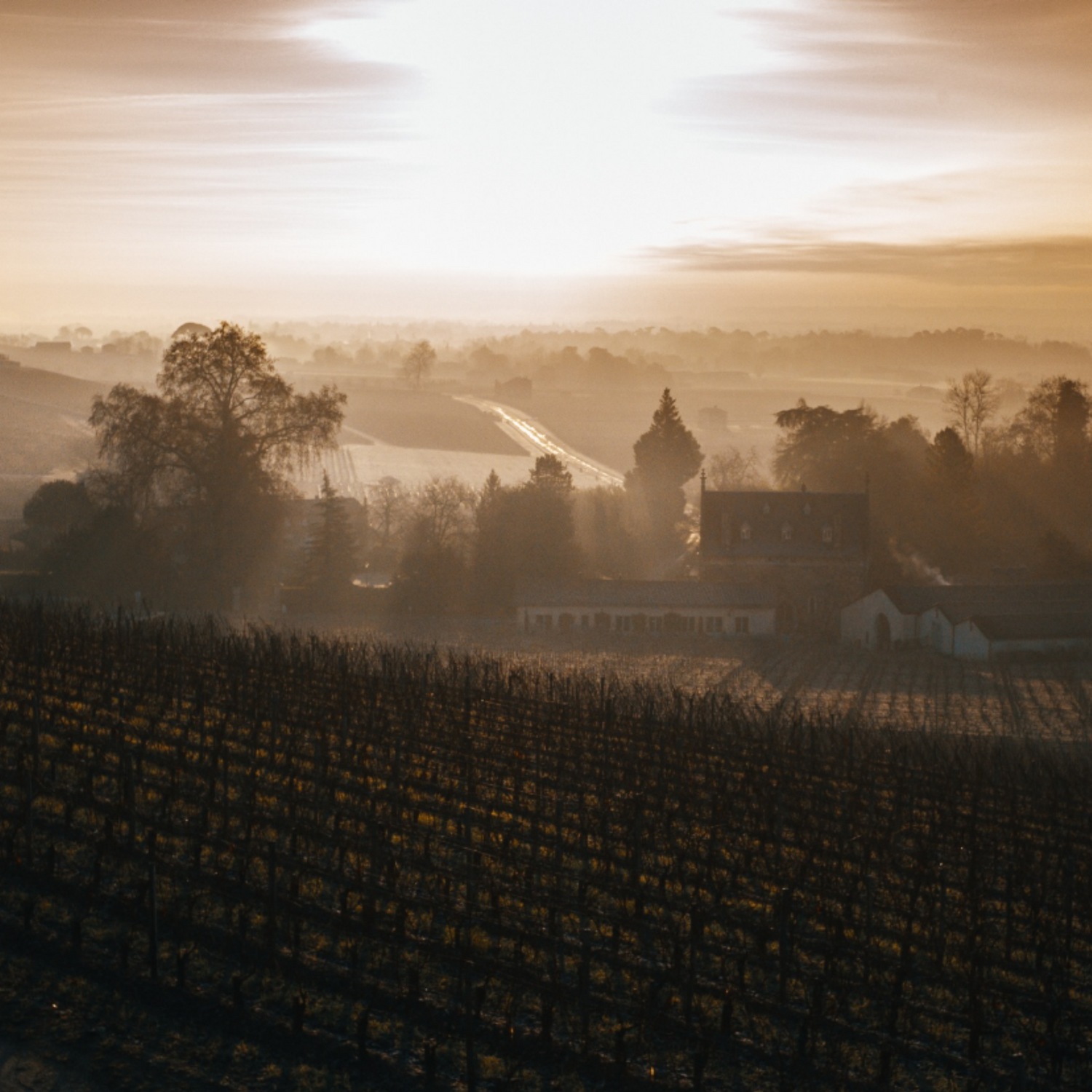 Normanby Fine Wines