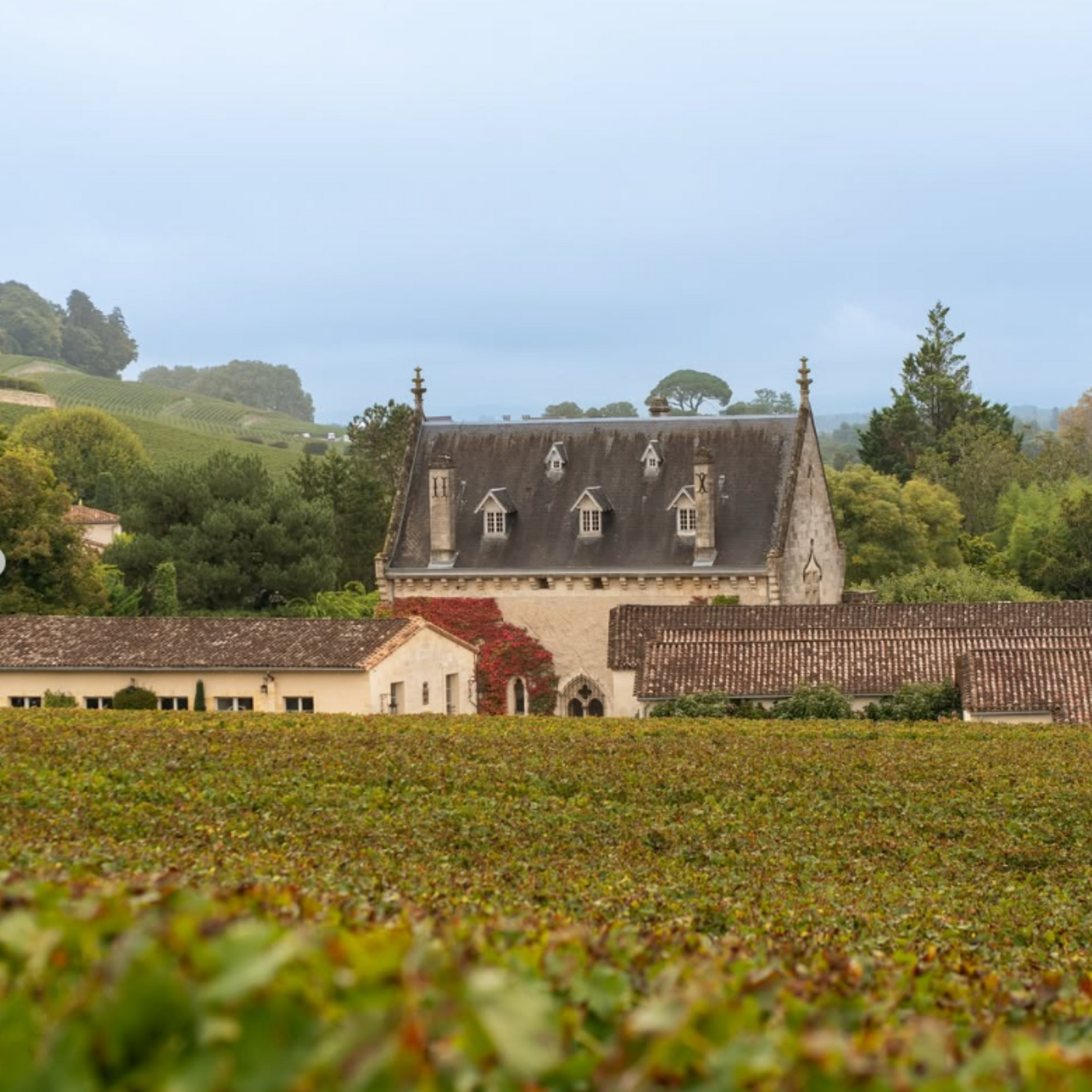 Normanby Fine Wines