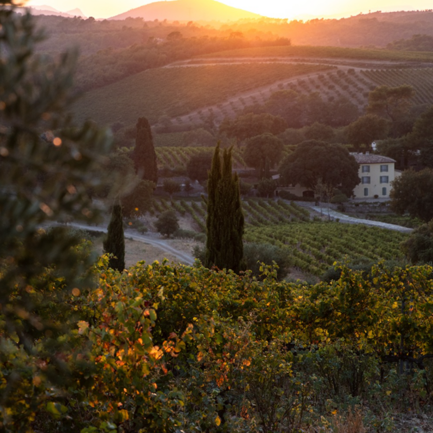 Normanby Fine Wines