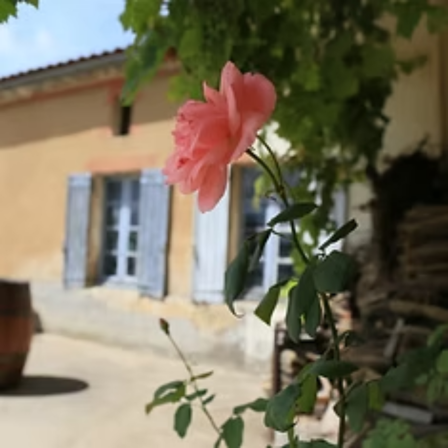 Normanby Fine Wines