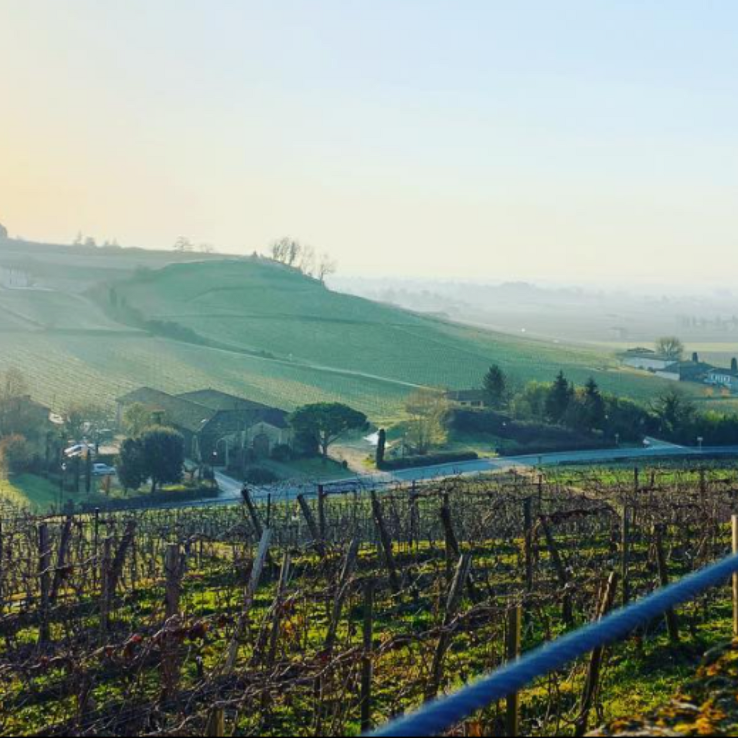 Normanby Fine Wines