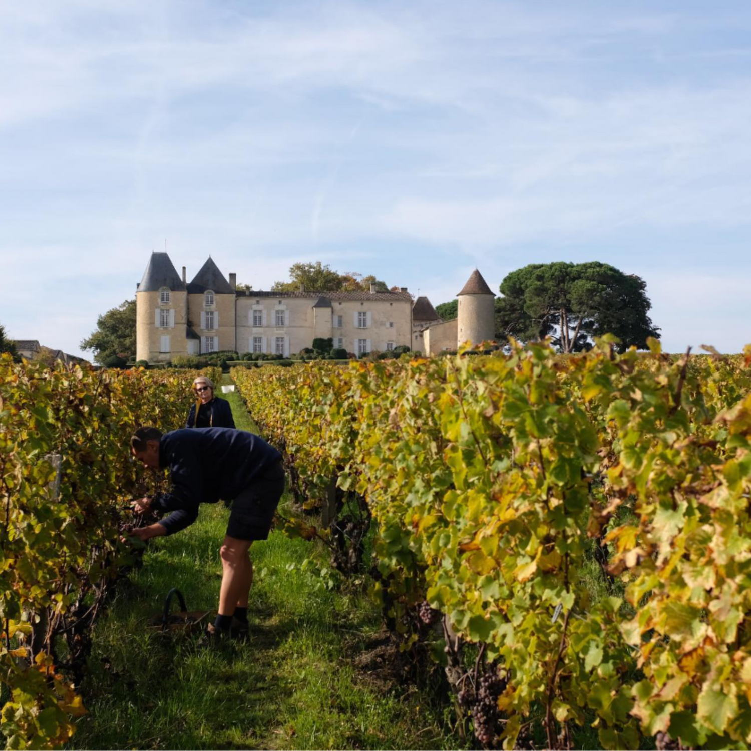 Normanby Fine Wines