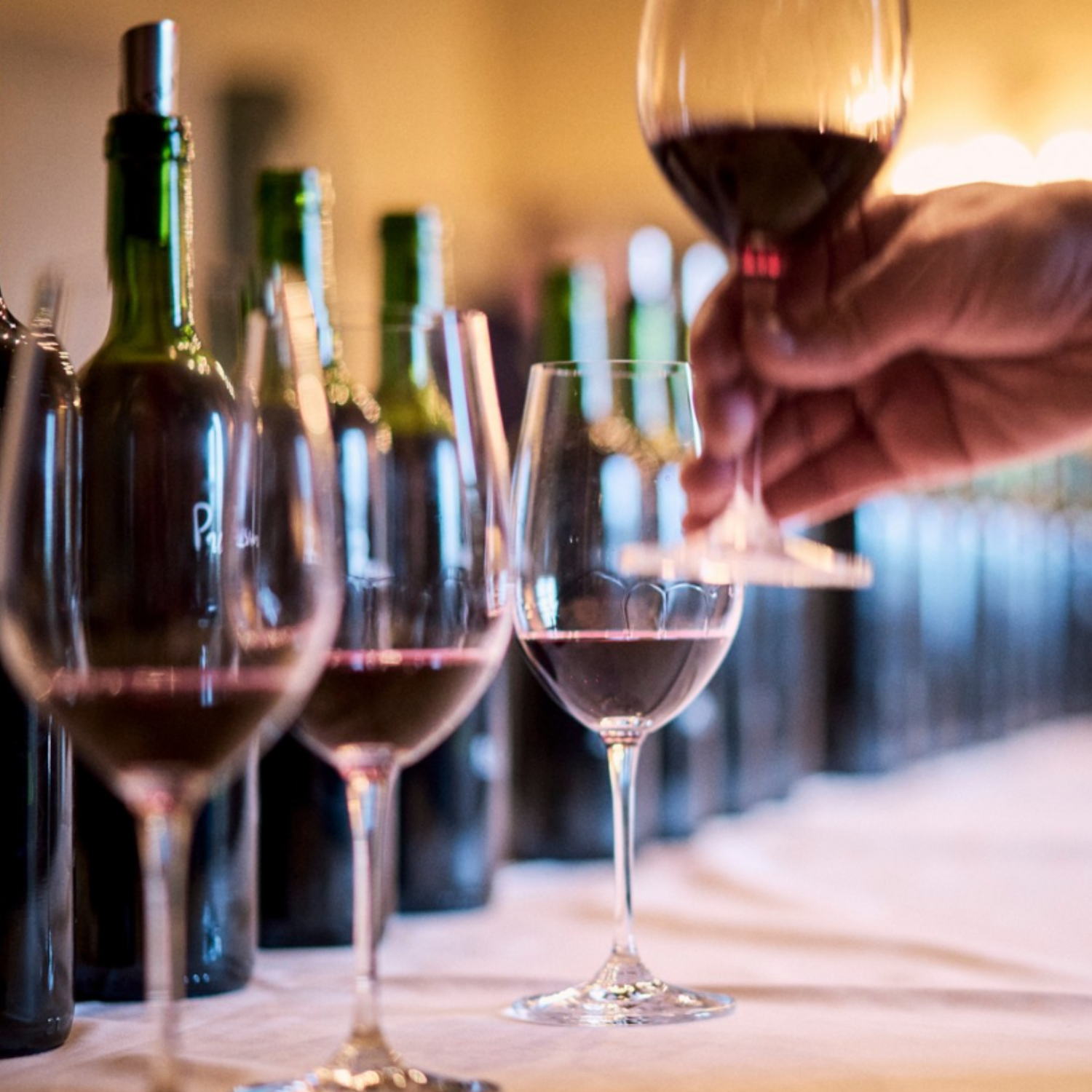 Normanby Fine Wines