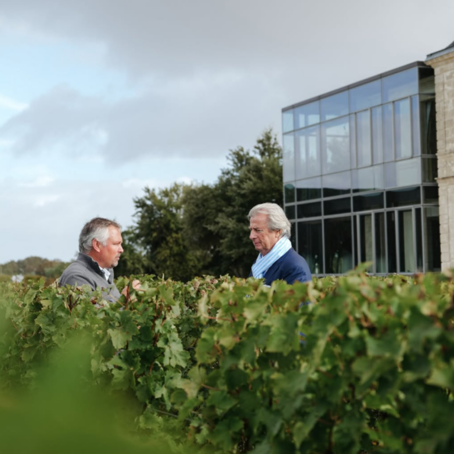 Normanby Fine Wines