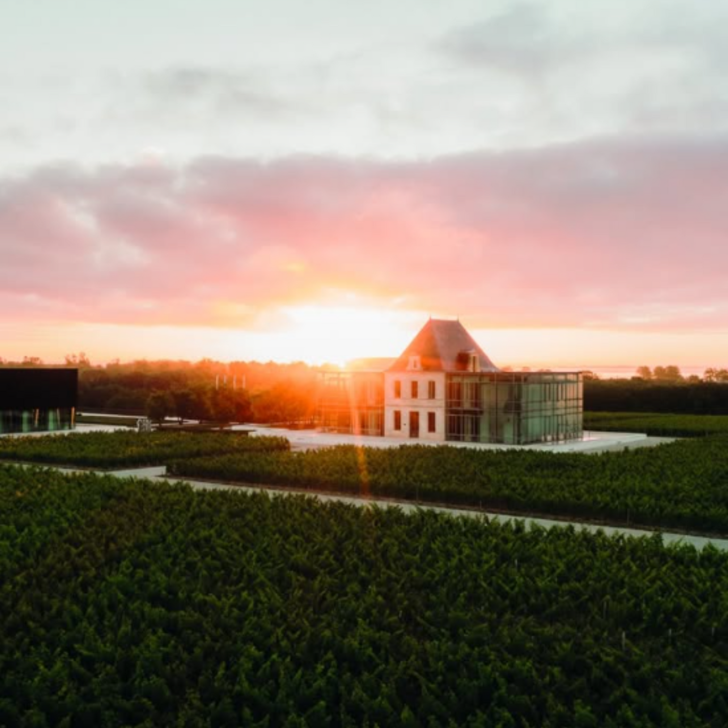 Normanby Fine Wines