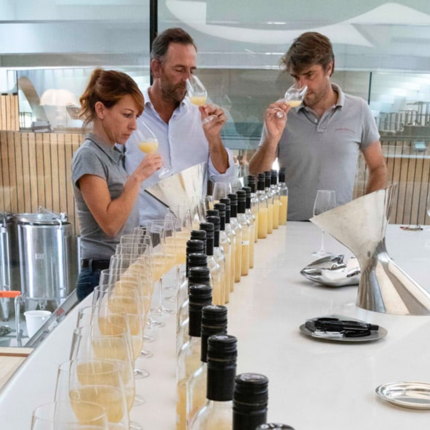 Normanby Fine Wines