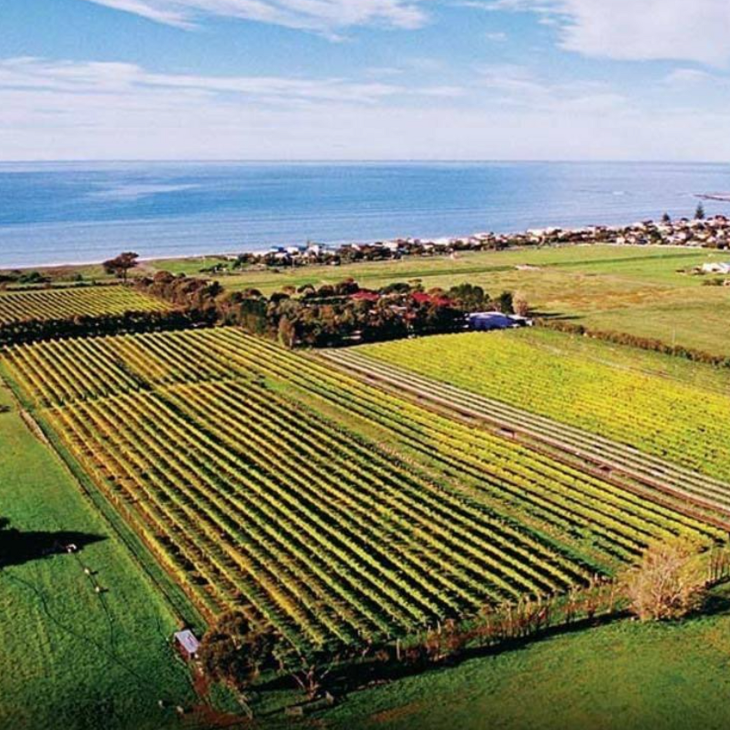 Normanby Fine Wines