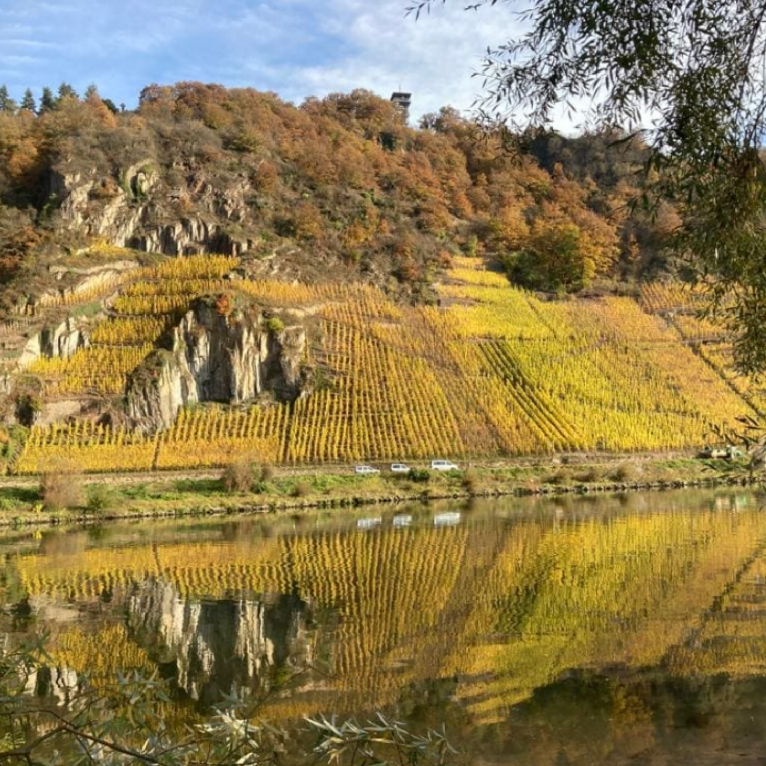 Normanby Fine Wines