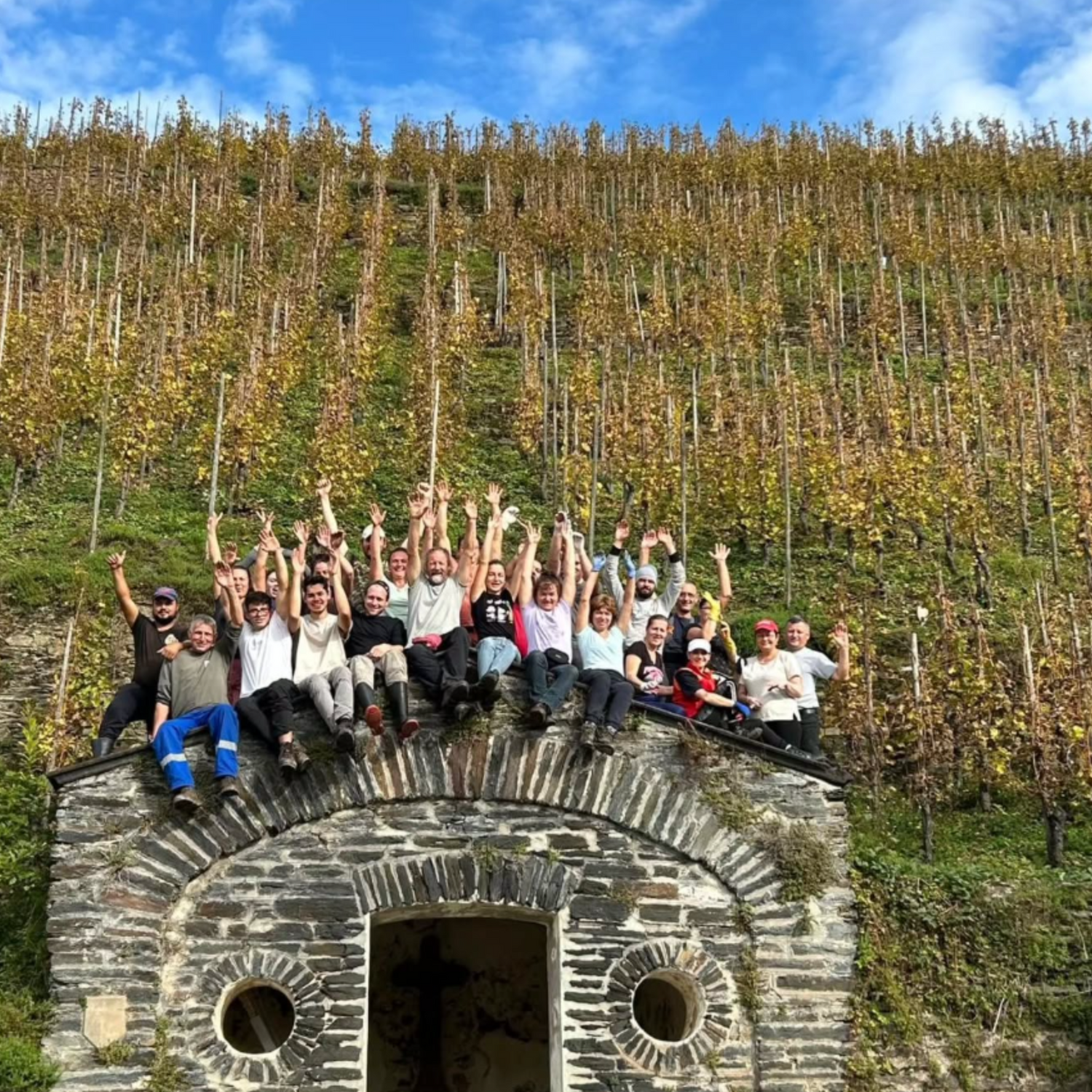 Normanby Fine Wines