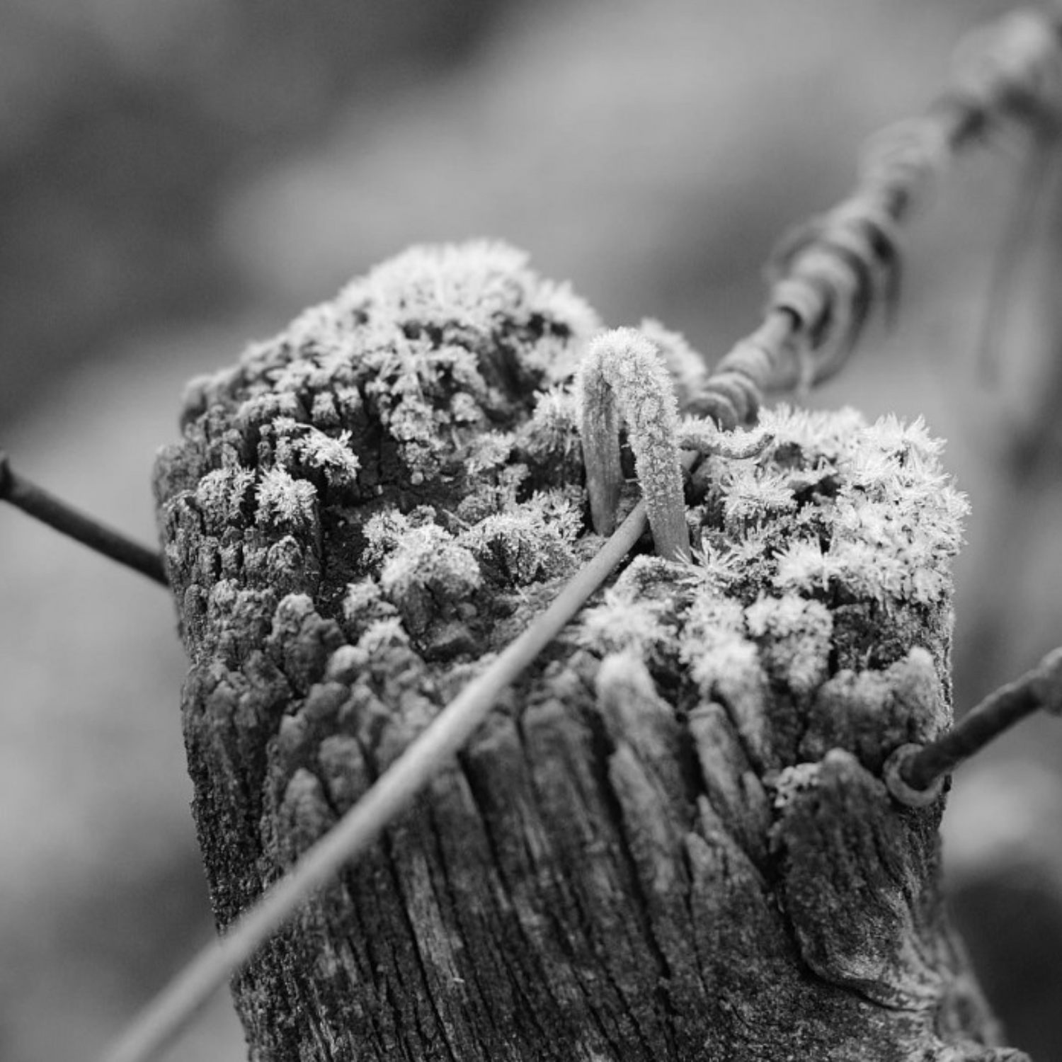 Normanby Fine Wines