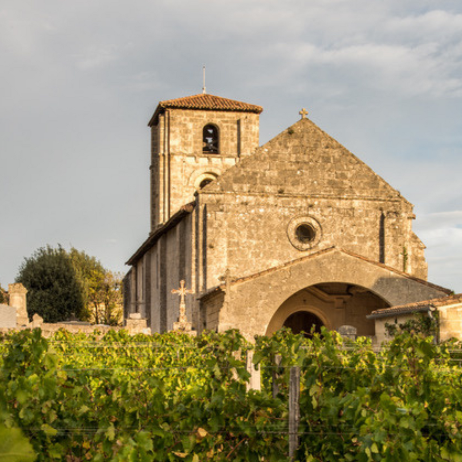 Normanby Fine Wines