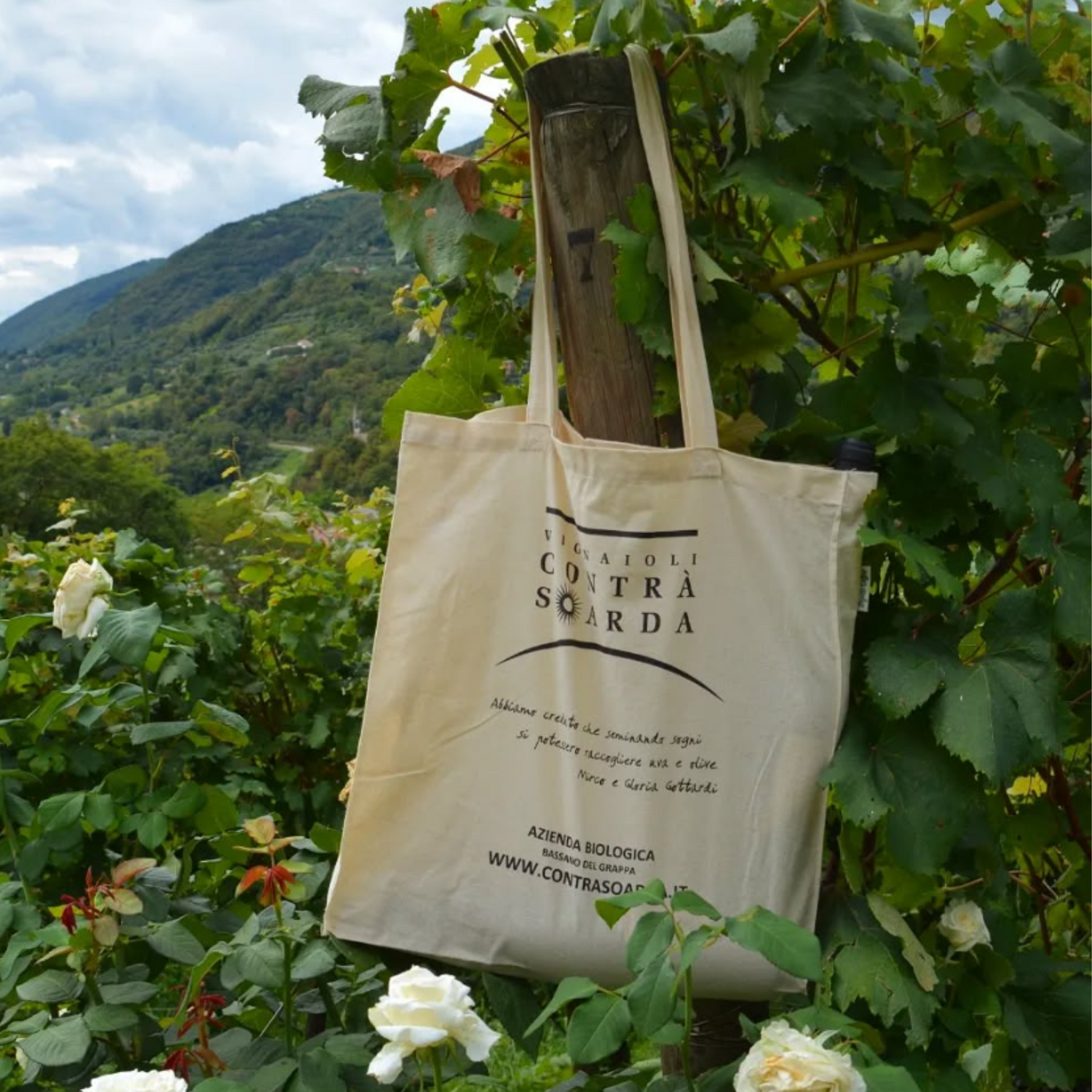 Normanby Fine Wines