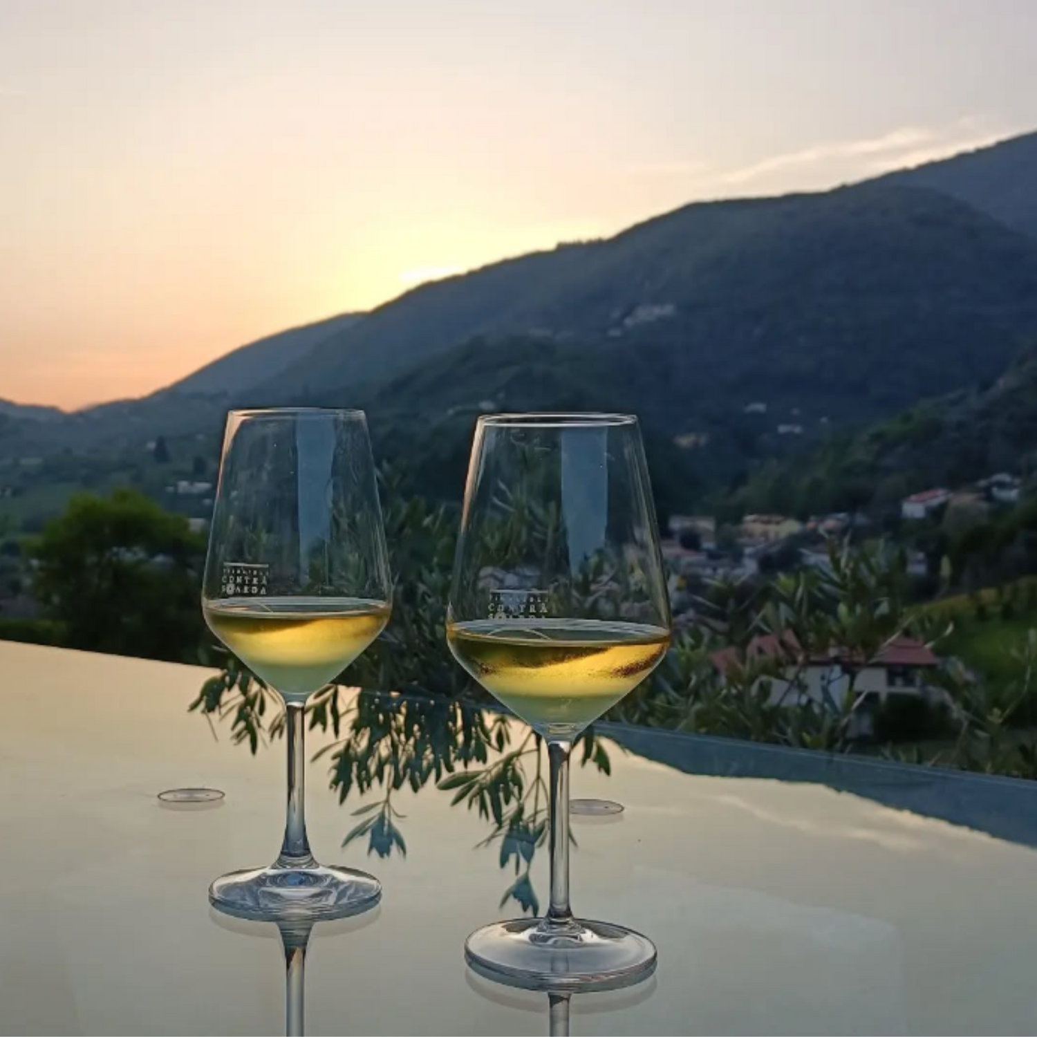 Normanby Fine Wines