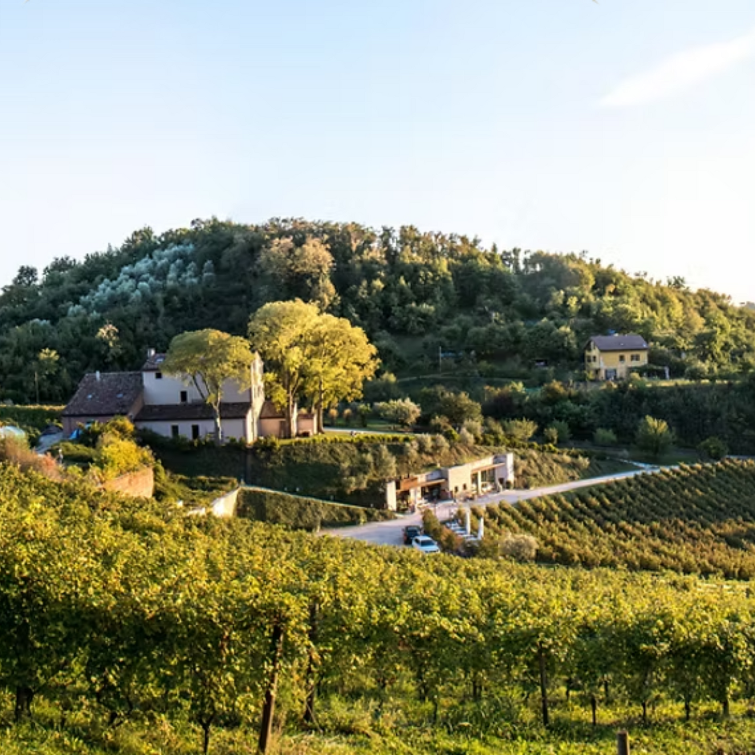 Normanby Fine Wines