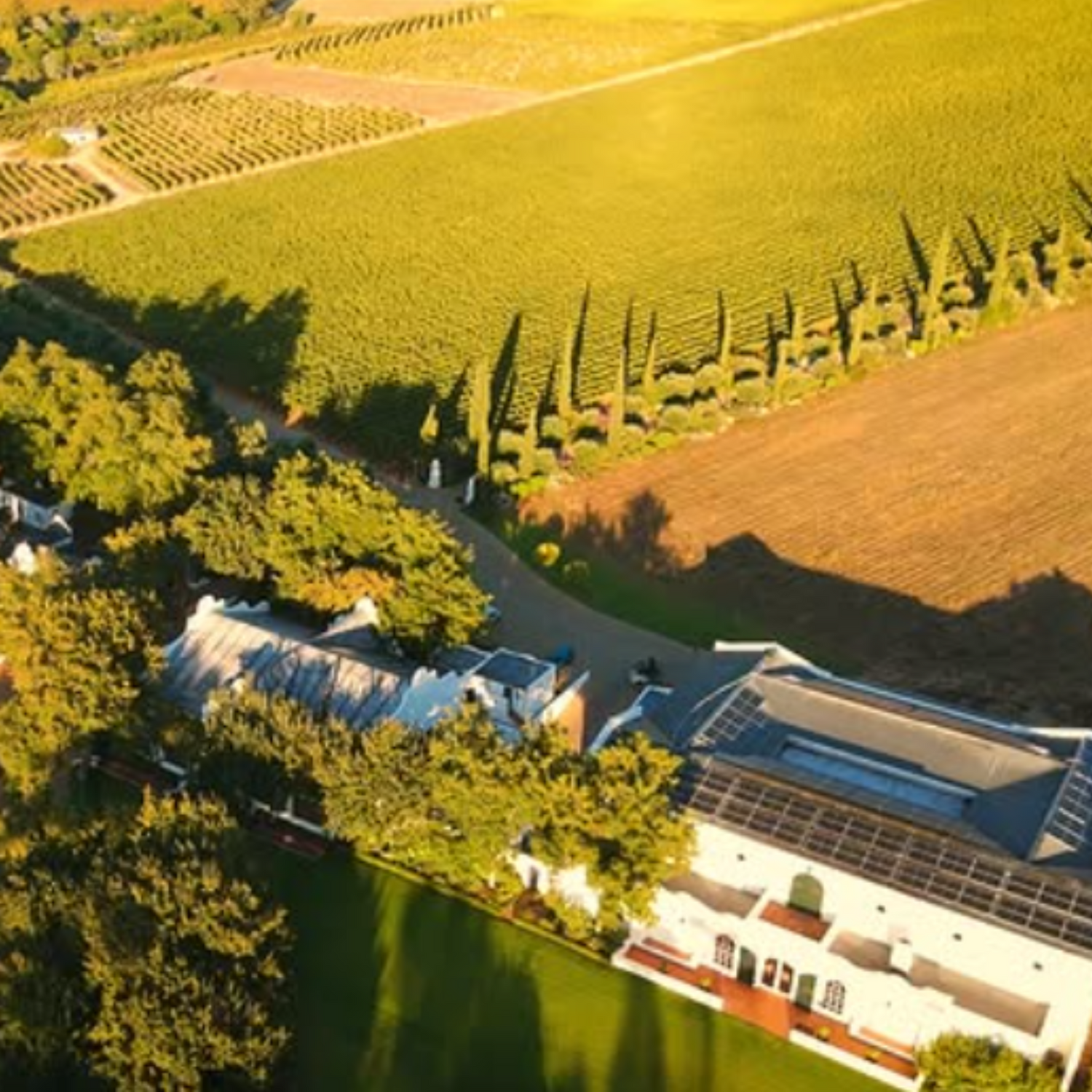 Normanby Fine Wines
