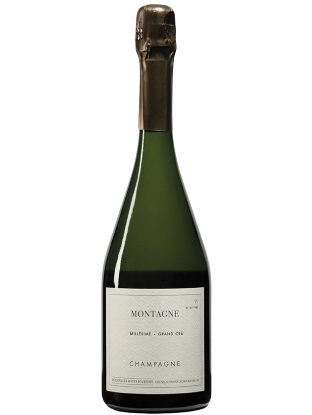 Domaine Les Monts Fournois Champagne Montagne Grand Cru Verzy 2016 (750ml)