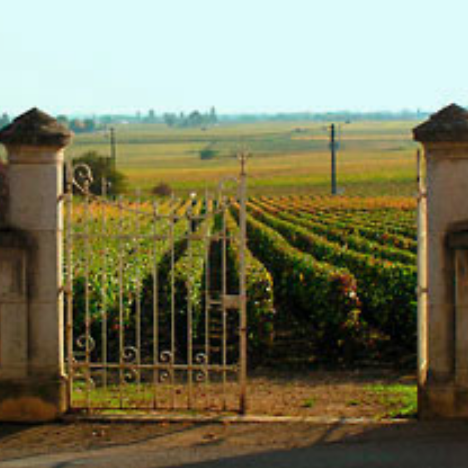 Normanby Fine Wines