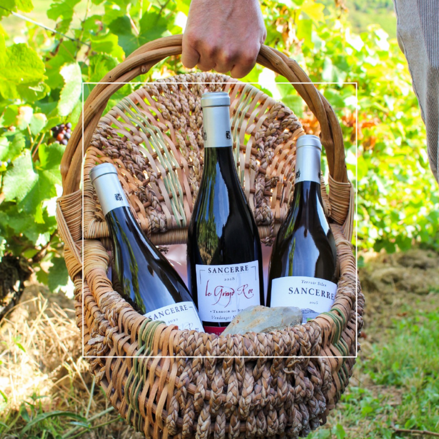 Normanby Fine Wines