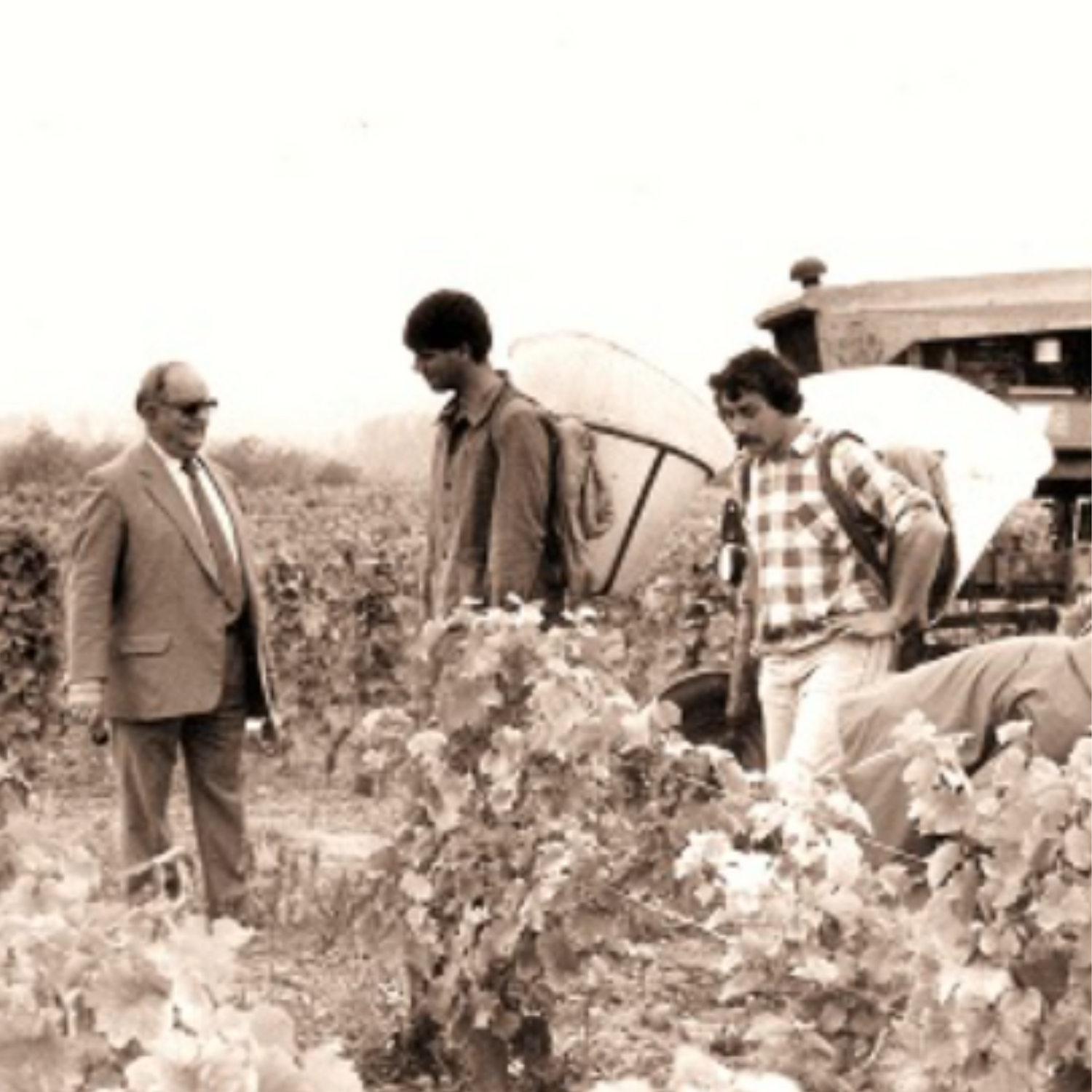 Normanby Fine Wines