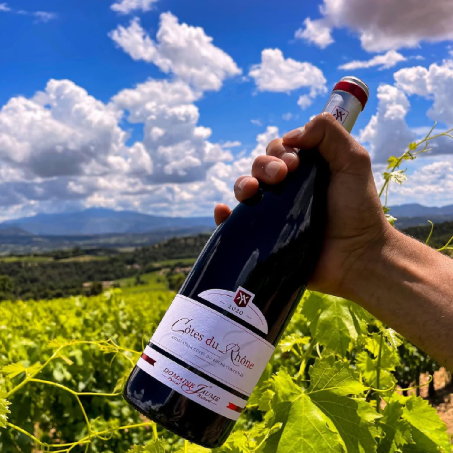 Normanby Fine Wines