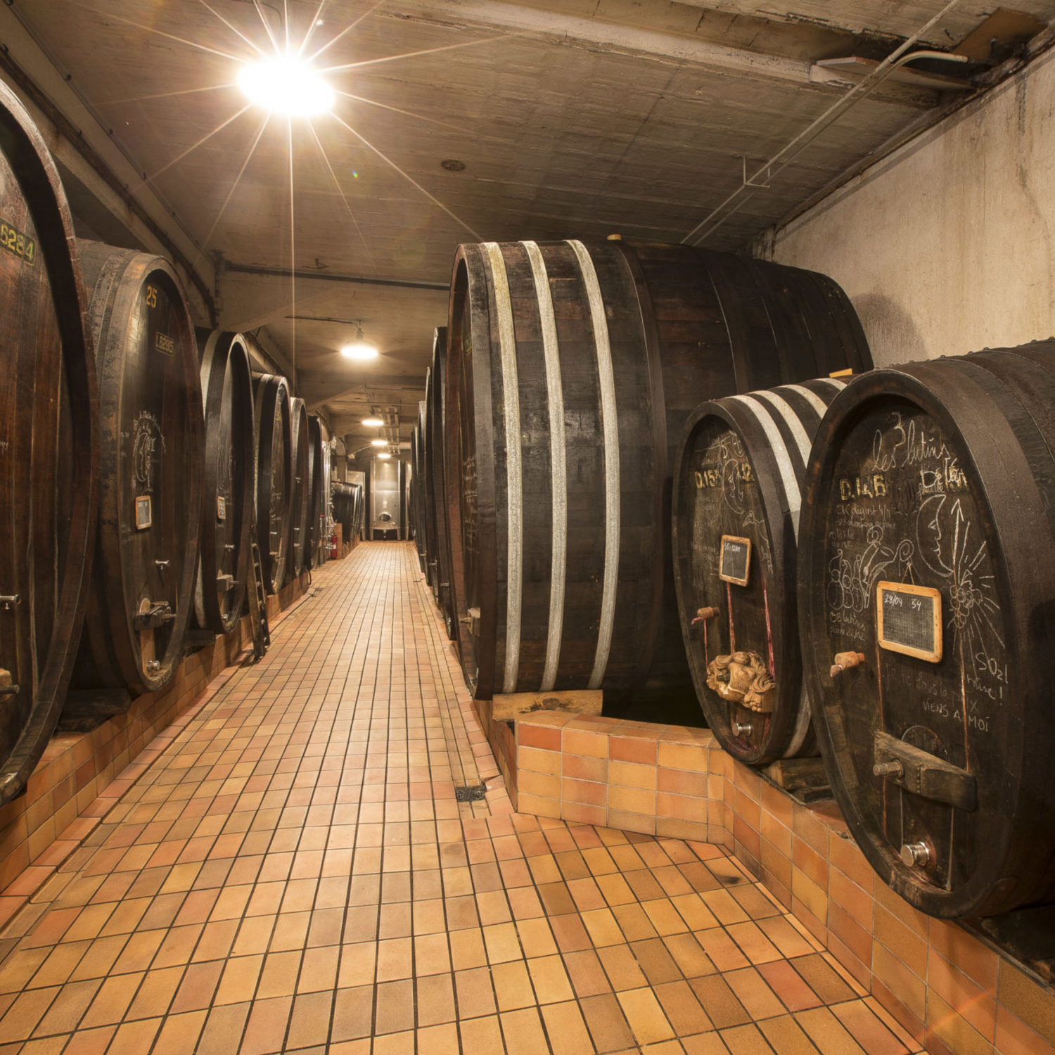 Normanby Fine Wines
