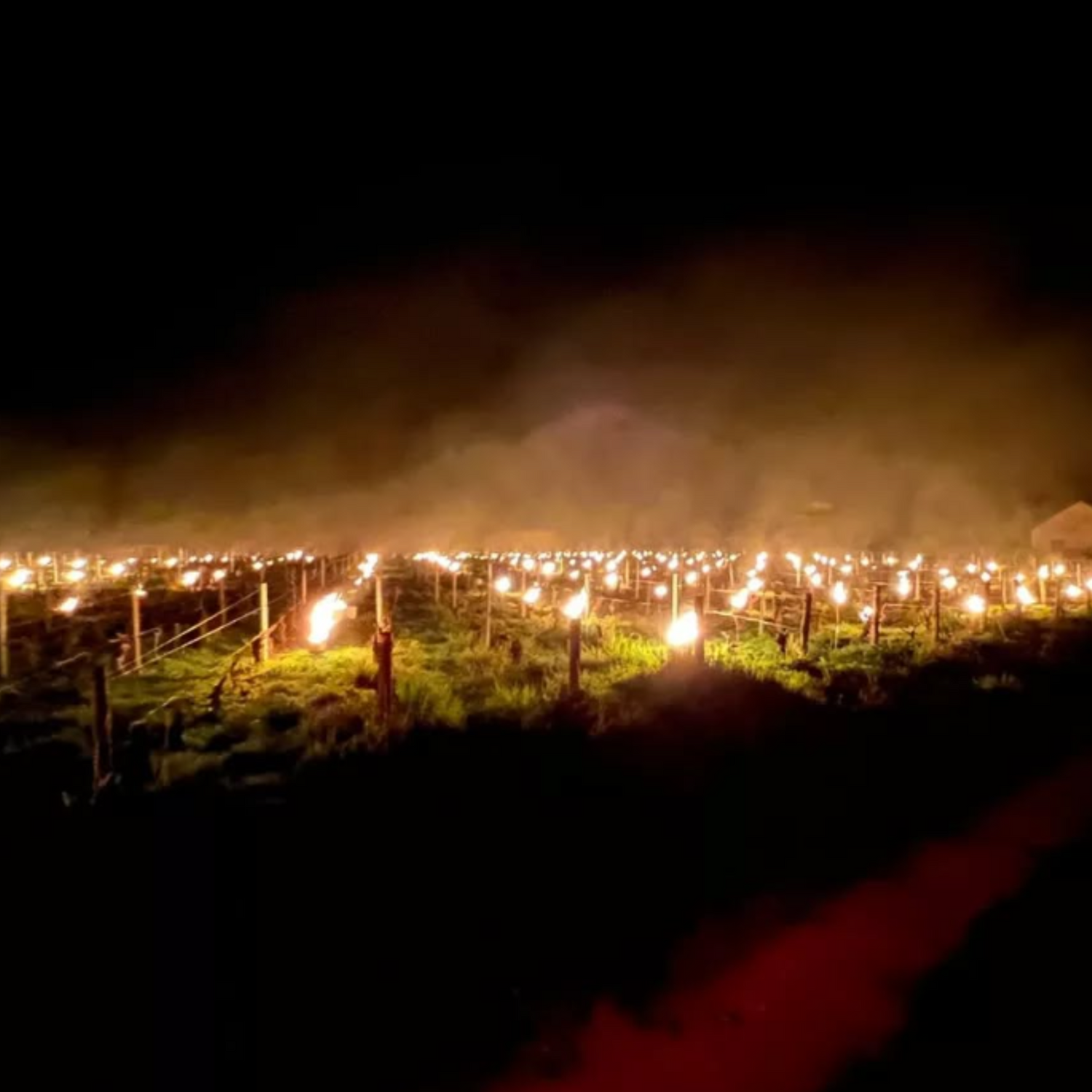 Normanby Fine Wines