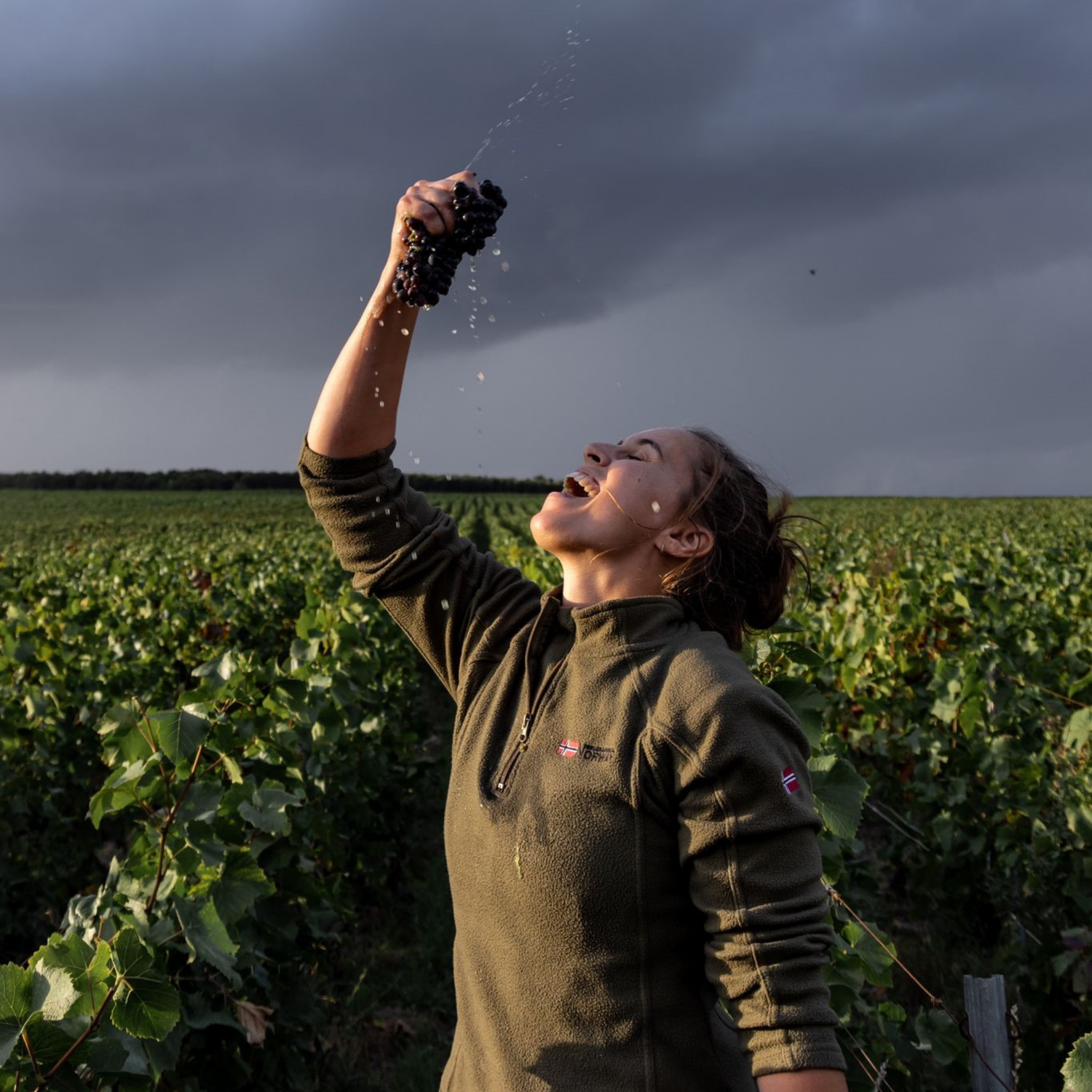 Normanby Fine Wines