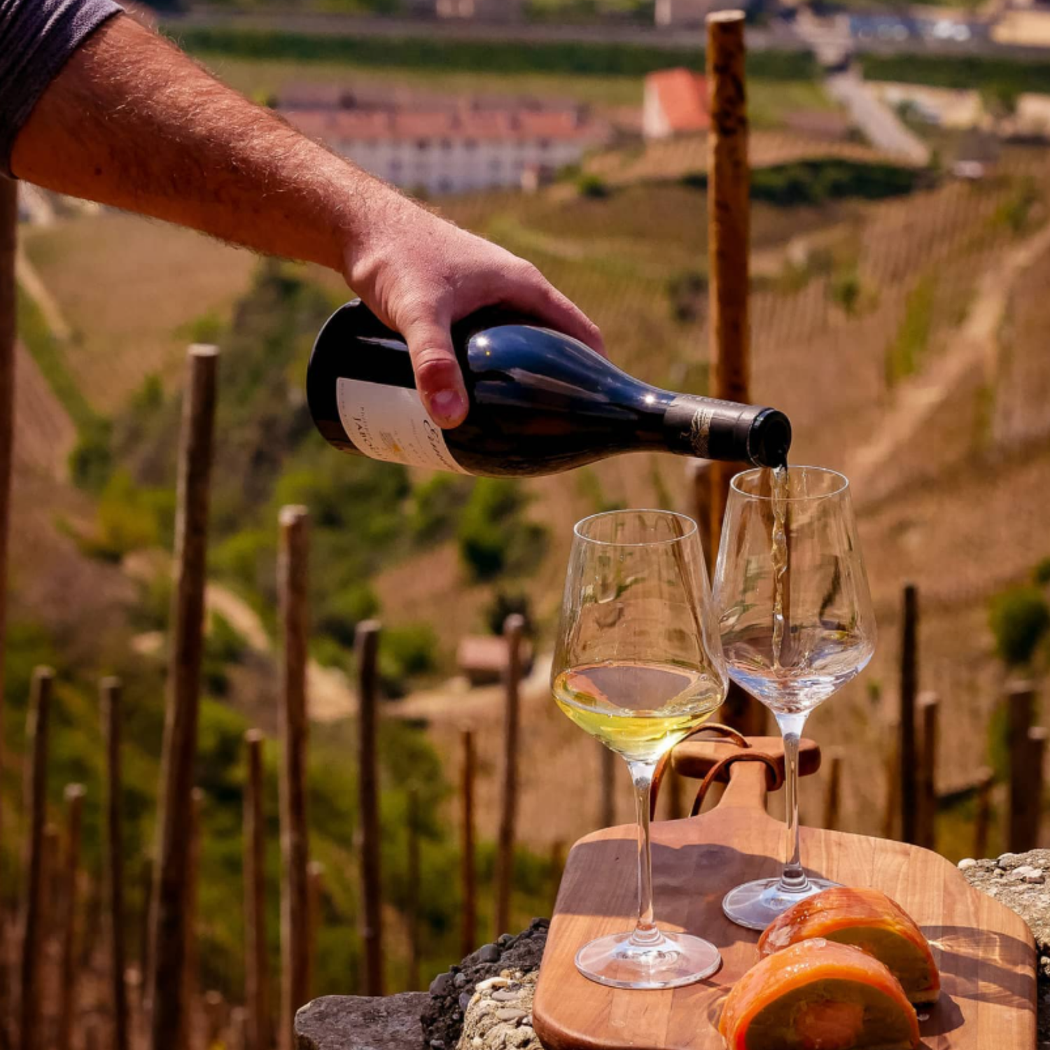Normanby Fine Wines