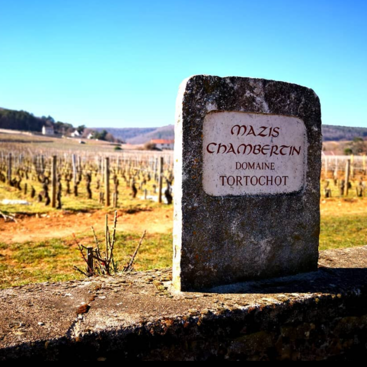 Normanby Fine Wines