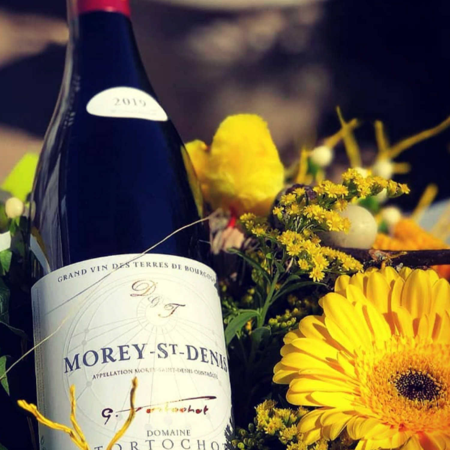 Normanby Fine Wines