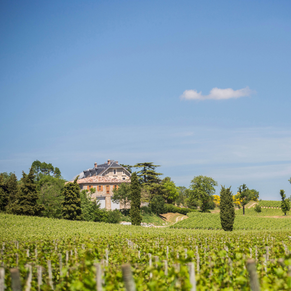 Normanby Fine Wines