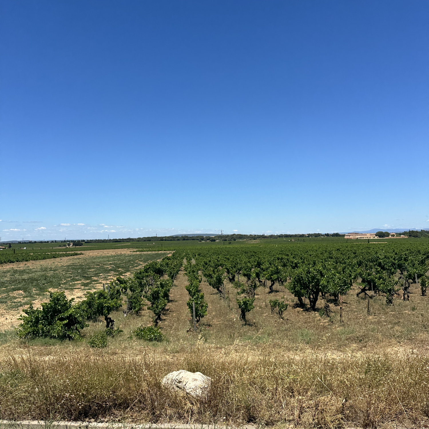 Normanby Fine Wines