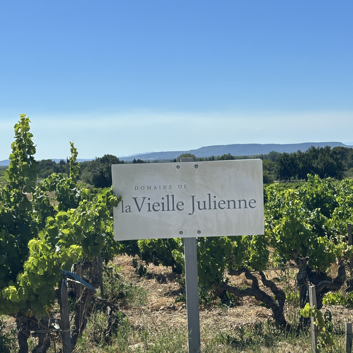 Normanby Fine Wines