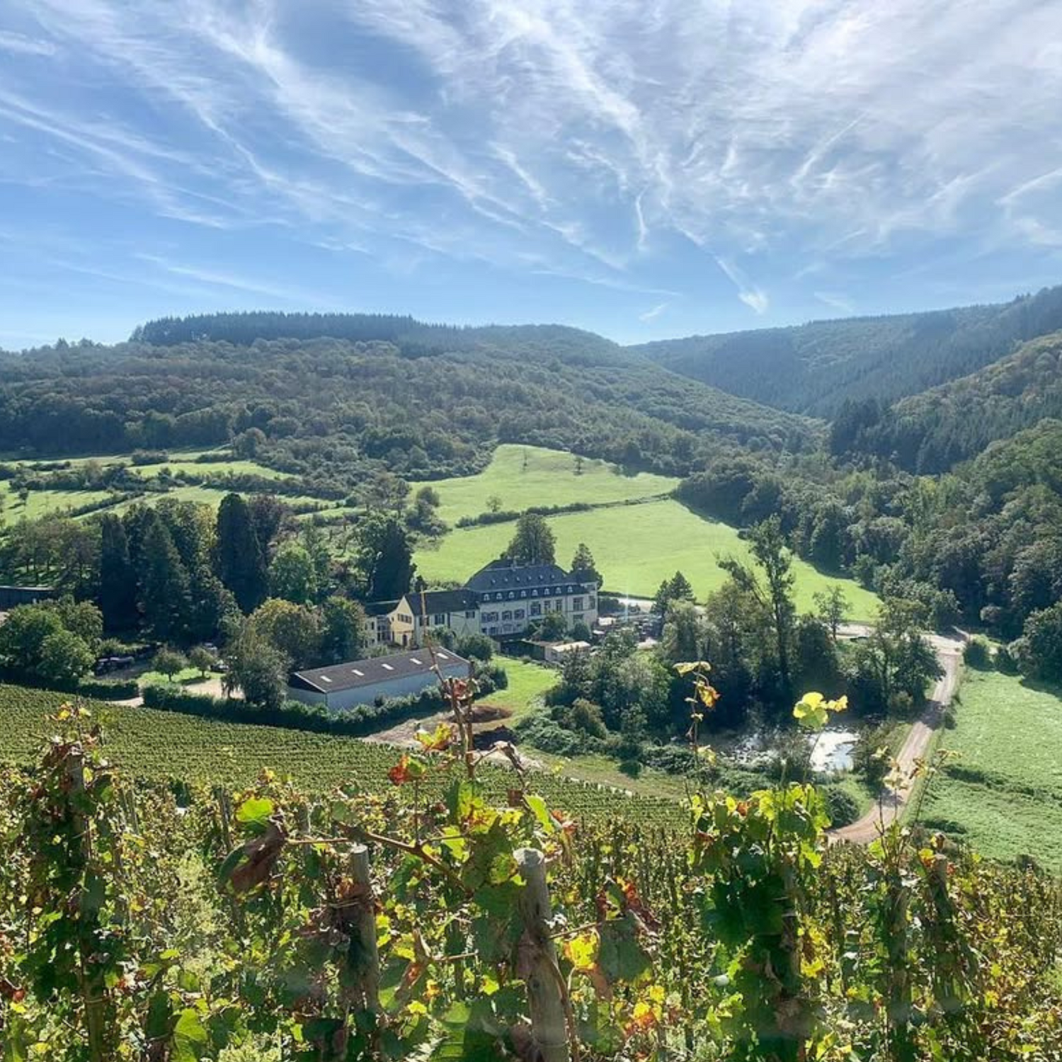 Normanby Fine Wines