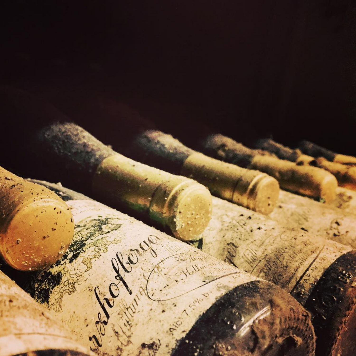 Normanby Fine Wines
