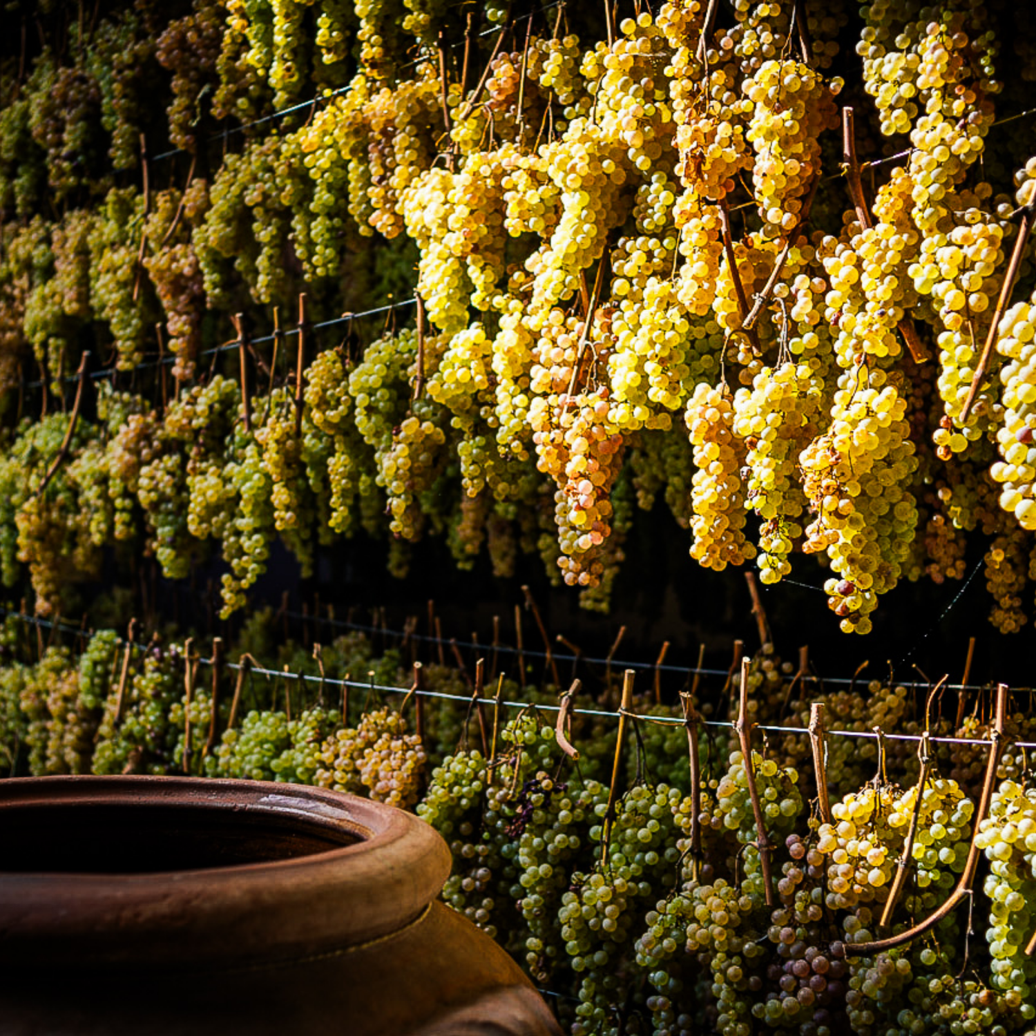 Normanby Fine Wines