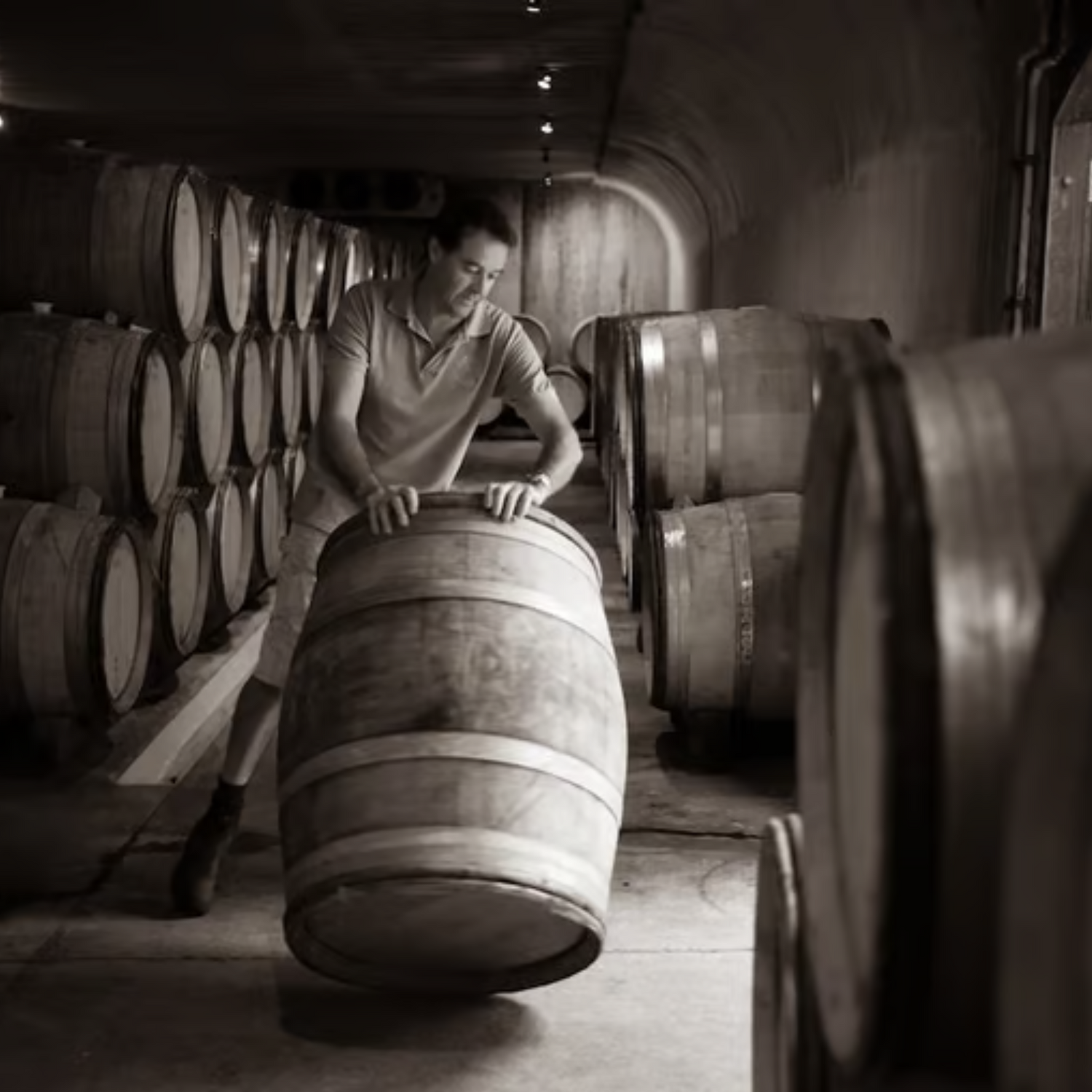 Normanby Fine Wines