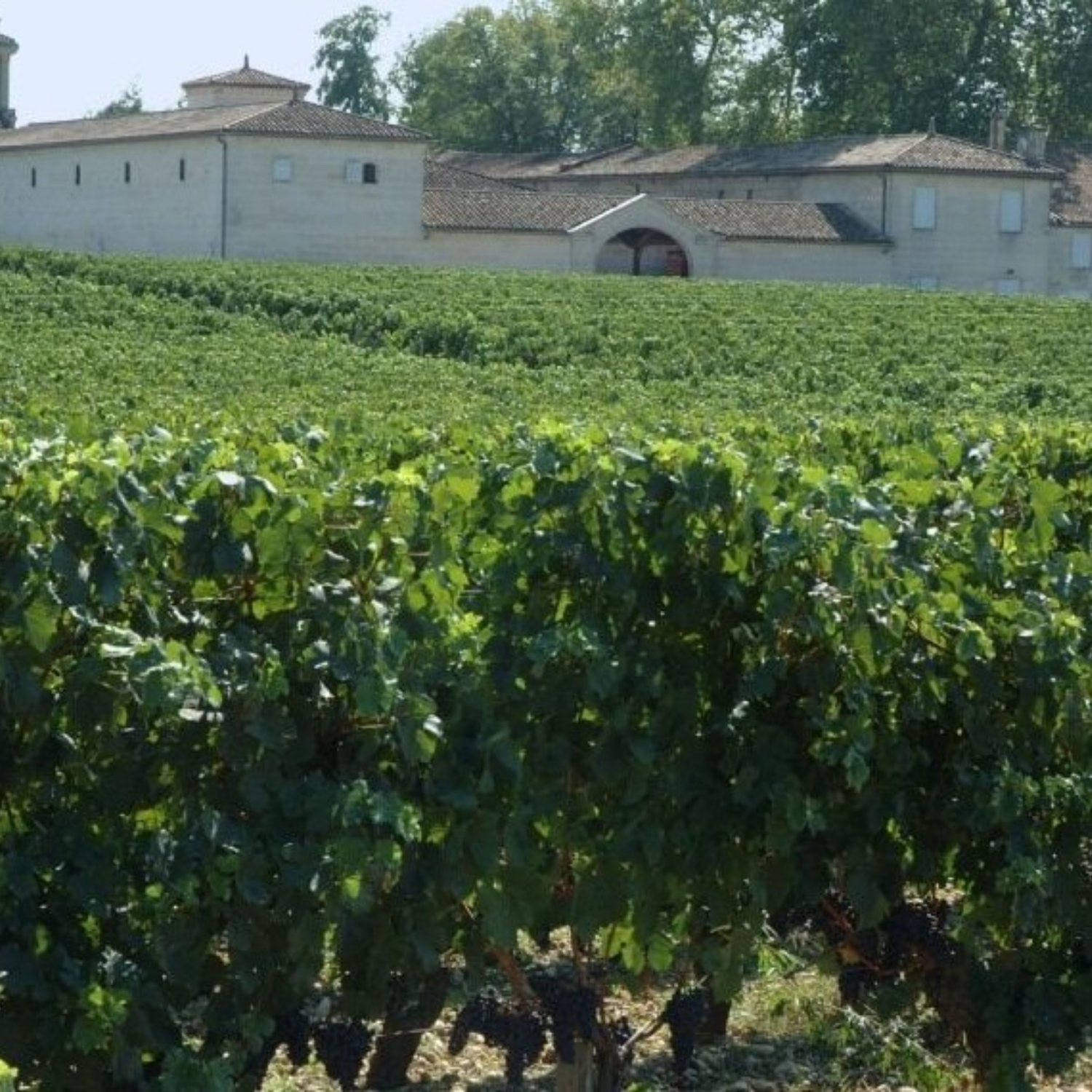 Normanby Fine Wines